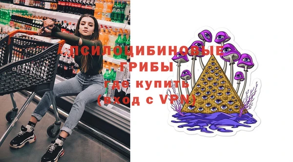 ешки Карпинск
