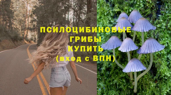 ешки Карпинск