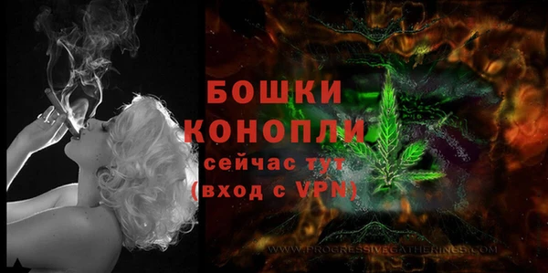 ешки Карпинск