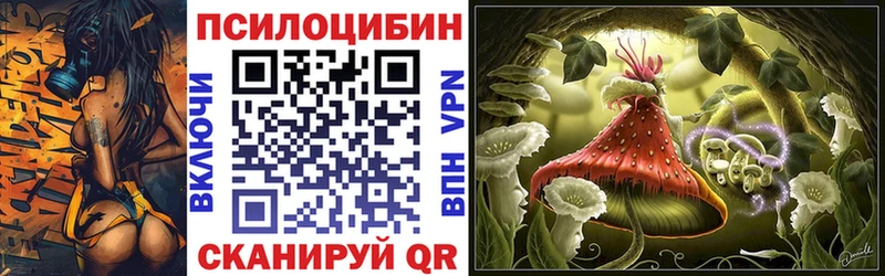 Псилоцибиновые грибы Cubensis  купить закладку  ссылка на мегу ONION  Липецк 