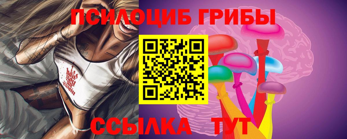 Псилоцибиновые грибы GOLDEN TEACHER  Вход с VPN  даркнет сайт  Липецк 