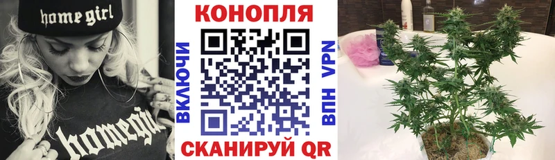 mega маркетплейс  Липецк  Конопля индика  сколько стоит 